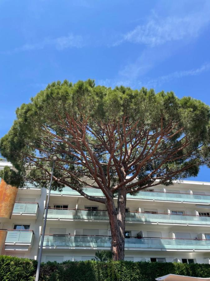 Superbe Studio Lumineux Sur Cannes Avec Terrasse ! A Quelques Minutes De La Celebre Rue D'Antibes ! المظهر الخارجي الصورة